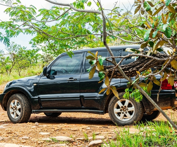 Passeio de 4x4 pelo Parque Nacional da Serra da Canastra